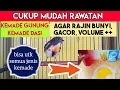 Lagu CARA MERAWAT KEMADE GUNUNG AGAR CEPAT GACOR