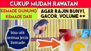cara merawat kemade gunung agar cepat gacor