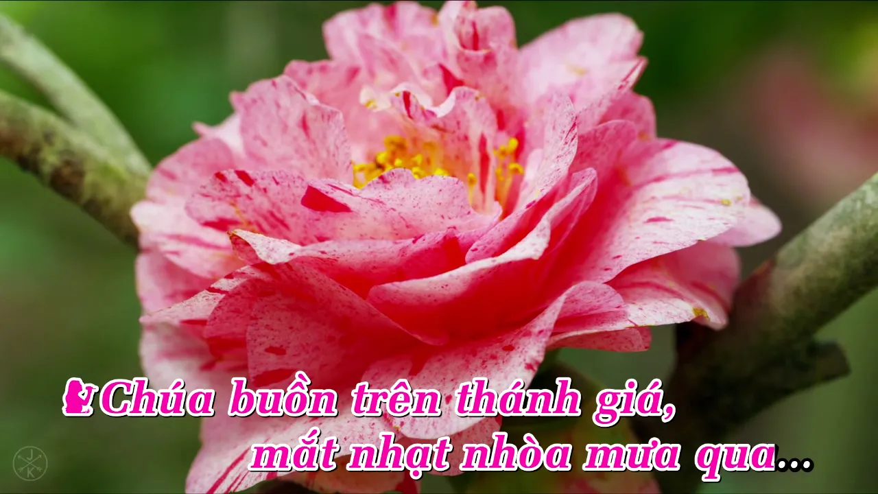 Chuyện tình buồn - Quỳnh Vy ft Đình Bảo karaoke