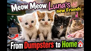Meow Meow Luna's New Friends-Episode 02