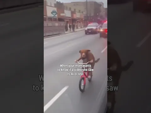 Mom Asks Ai Or Real? 🐶😂 #shorts Funny Video By TikToMania