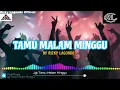 Lagu Lagu Joget Terbaru 2024🌴||Tamu Malam Minggu Bass Gacor ♨️~RIA AMELIA 🔥✅