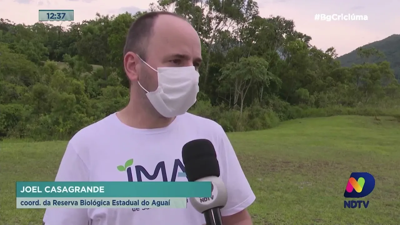 Instituto do Meio Ambiente abre processo seletivo para atuações voluntárias em diversas áreas