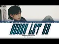 JUNG KOOK (정국) -  'NEVER LET GO' Lyrics [Color Coded /Han/Rom/Eng]
