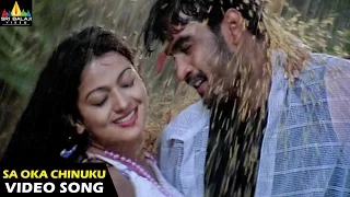 pallakilo pellikuthuru songs sa oka chinuku video song gowtam rathi sri balaji video