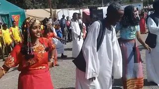 تراث البني عامر عامراب و الحباب شرق السودان 