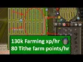 In-Depth Efficient Tithe Farming Guide 25 seeds 6 lanes 1 spot method OSRS