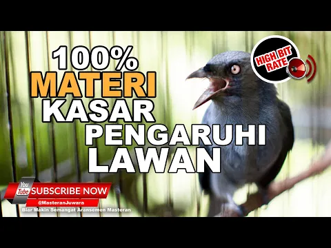 Download MP3 🔴 Masteran Burung JUARA❗️Srigunting Abu Abu Gacor Full Materi Tembakan Kasar Pengaruhi Mental Lawan