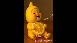 البرتقال البر تقال حلو ولذيذ البرتقال Cute 