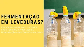 FERMENTAÇÃO DAS LEVEDURAS