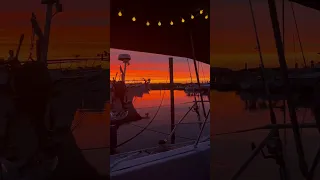 This sunset had everyone out on their decks watching 🥰 #sundowner #sunset #sailing