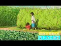 Download Lagu 2023 Hayao Miyazaki Piano Music Collection - Best Relaxing Music \