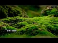 Download Lagu Ukiran jiwa HQ lirik 1994