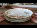 Antique Haviland Co Limoges Floral China Plate