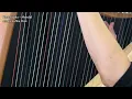 Passacaglia – George Frideric Handel – Lever Harp