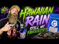 Hawaiian Rain T28 Review Still My Favourite Medical Cannabis Strain