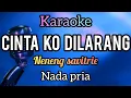 Download Lagu karaoke CINTA KO DILARANG neneng safitrie nada PRIA