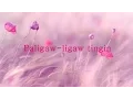 Download Lagu Paligaw ligaw tingin with lyrics