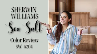 Download Sherwin Williams Sea Salt SW 6204 Color Review MP3