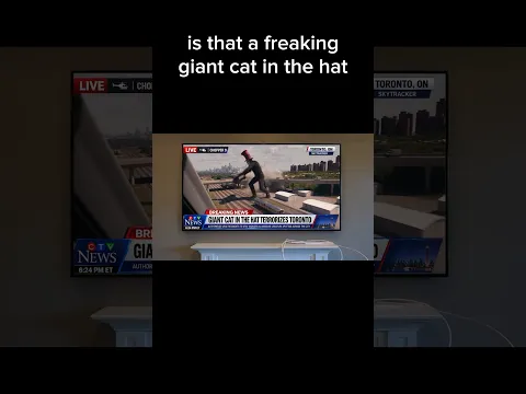 Giant cat in the hat 😂