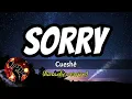 SORRY - CUESHE (karaoke version)