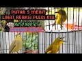 Download Lagu TERAPI PLECI BIKIN NGOTOT LANGSUNG NAGEN BUKPAR GETER GETER!!! TERAPI TEST MENTAL PLECI