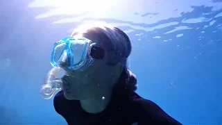 FREEDIVING adventures in Paradise! (Sailing SV Sarean) EP. 42