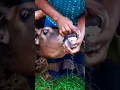 Download Lagu Pagla Goru #shorts #short #cow #youtube #subscribe #song #shortsfeed #yt #happy #gabtolihat #goat