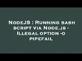 NodeJS Running bash script via Node js - Illegal option
