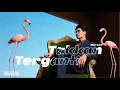 Lagu Cover Takkan Terganti - Marcell | Video Lirik | orestudio