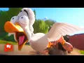 Migration 2023 - Peking Paradise Duck Farm Scene