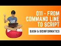 From Command Line to Script Bash Essentials for Bioinformatics BEB
