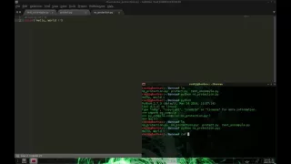 Protect python script from uncompyle