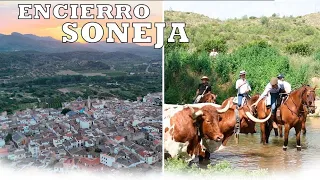 SONEJA I ENCIERRO CAMPERO - Producido por "A RAS DE CIELO"- 4K