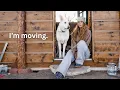 I m Moving