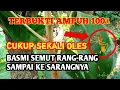 Download Lagu TERBUKTI !!! Cara Paling Ampuh Membasmi Semut Rangrang/Angkrang Sampai ke Sarangnya - AgroPark