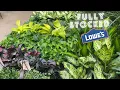 Plant shop with me BIG BOX STORE LOWES plus pots at home goods