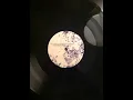 Download Lagu [Conscient Industry 02 ] Yakh - Dans les tonneaux d'Heidelberg : les vins de l'océan