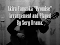 Akira Yamaoka ''Promise''