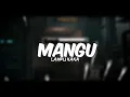 Lagu DJ MANGU X LAMPU KAKA REMIX FULL BASS TERBARU