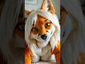 Lagu Realistic fox girl AI