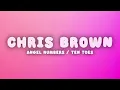 Chris Brown - Angel Numbers / Ten Toes (Lyrics) | Healing energy on me