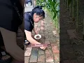 Download Lagu How To Turn  Brick Yard To A Vegetable Garden #satisfying #shot