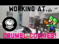 How The Cookie Crumbles Working At Crumbl Cookies S6 Ep 17