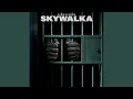 BigWalkDog - Skywalka [Clean]