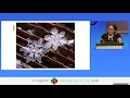 Hayley Denbraver - Recursion Fractals and the Python Turtle Module