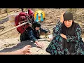 Download Lagu The cries of a displaced grandmother in the mountains.