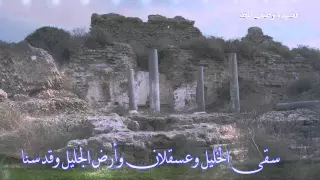 جديد قصيدة نبطية من بادية فلسطين في وصف المطر للشاعر الفلسطيني عامر الوحيدي 