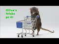Amazing Tricks with Olive the Rat - Part 4