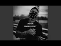 Lagu Dark Light